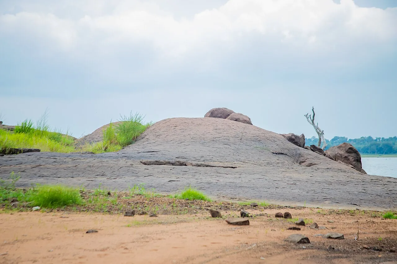 Digya National Park