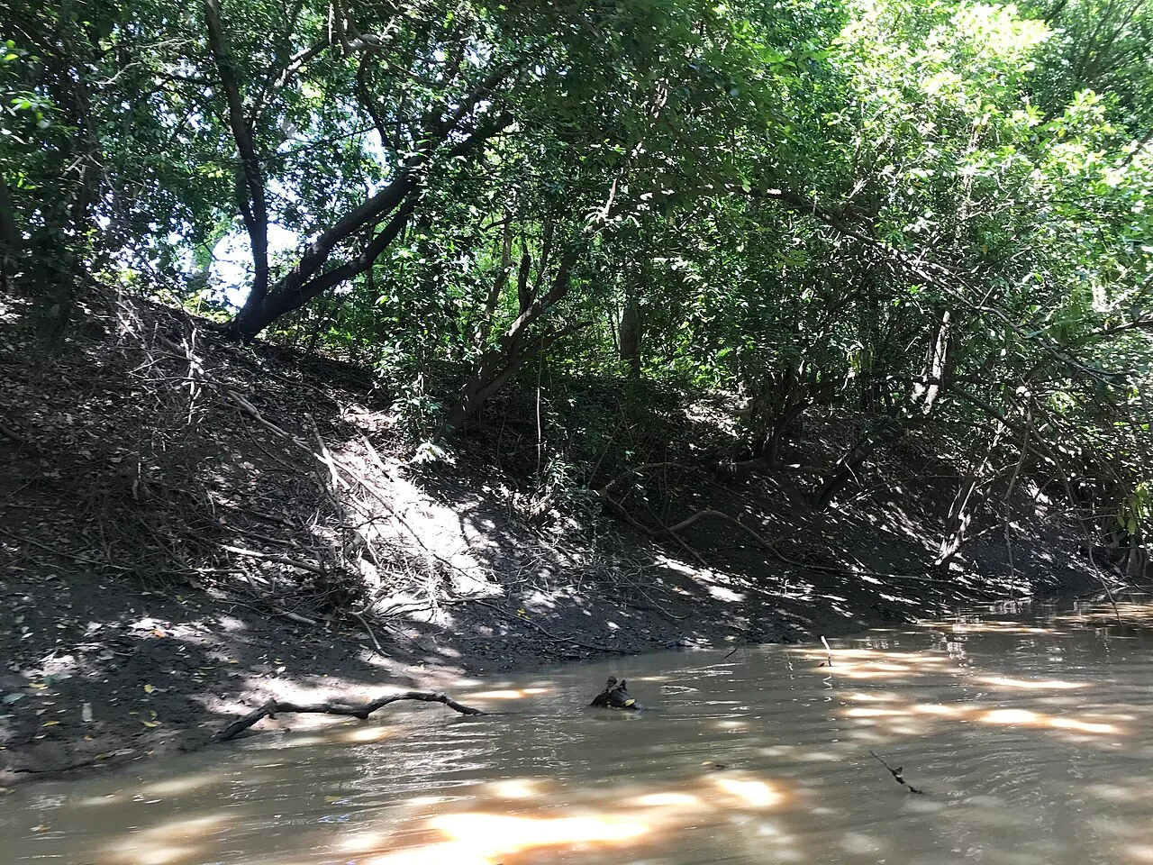 A river at Mognori eco village near Mole National Park.