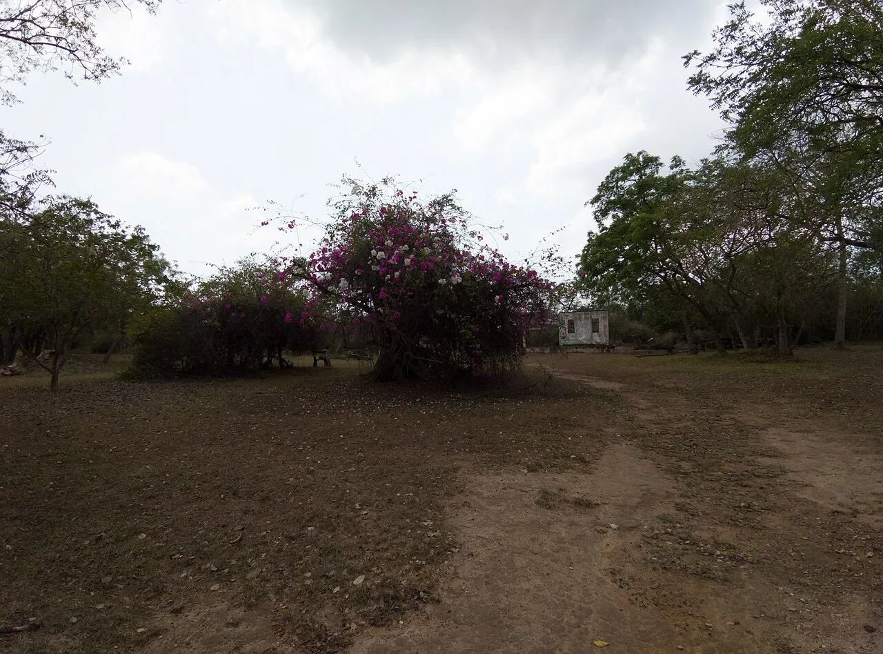 Legon Botanical Gardens