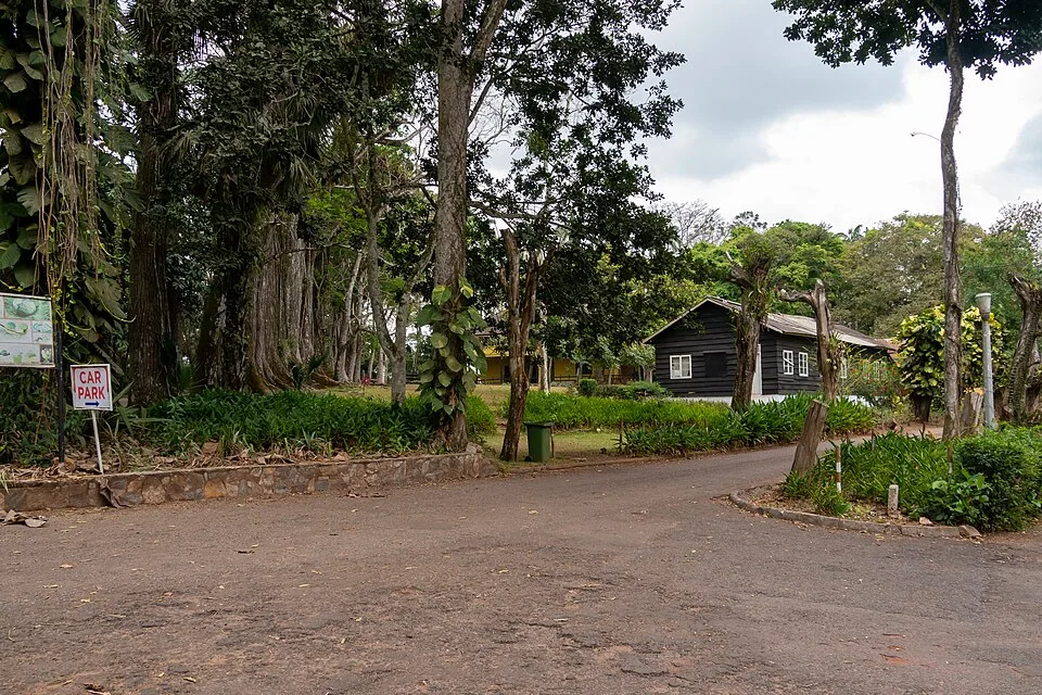 Aburi Botanical Gardens in the Eastern Region of Ghana 