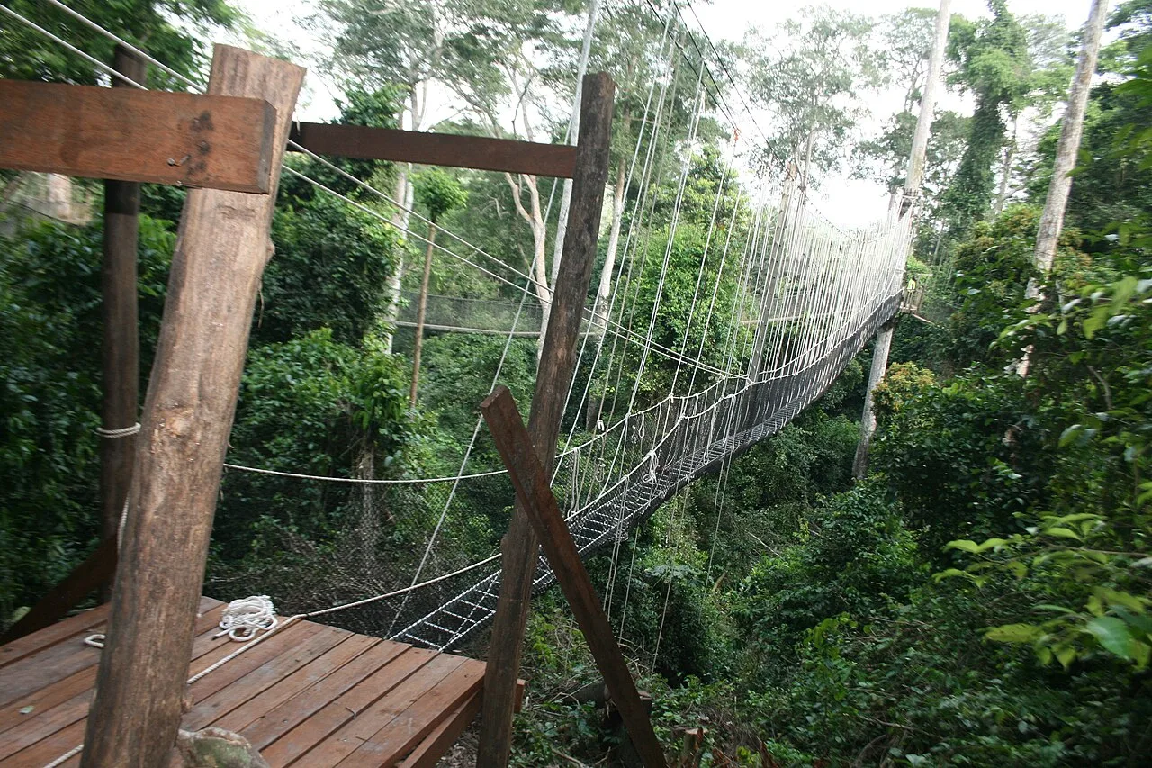 This is a new canopy walkway being made at the Kakum National Park